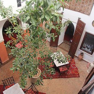 Riad Tizgui